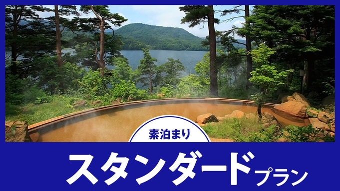 【スタンダード／素泊まり】周辺観光を堪能！源泉掛け流し「美肌の湯」で極上の贅沢を！